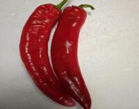 紅尖椒